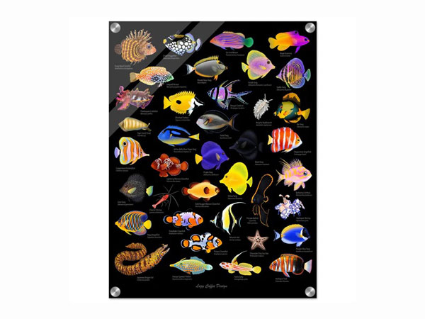 【正規輸入品】Lazy Fish Acrylic Print 24×18