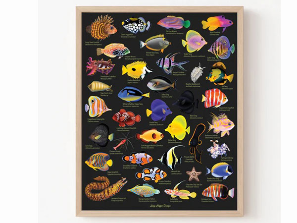 【正規輸入品】Lazy Reef Fish Black Fine Art Print
