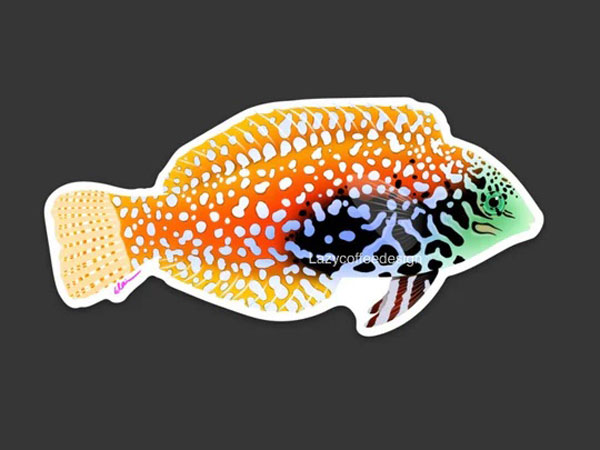 【正規輸入品】Leopard Wrasse Sticker