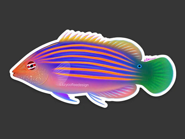 【正規輸入品】6 Line Wrasse Sticker