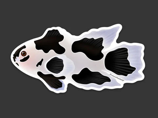 【正規輸入品】Long Fin Black Storm Clownfish Sticker