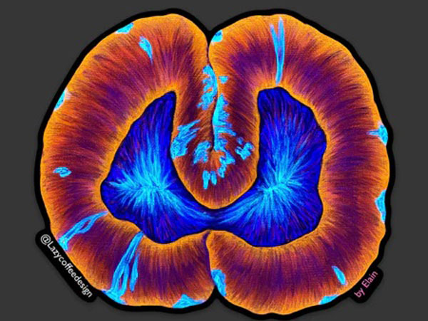 【正規輸入品】Wellso Sticker