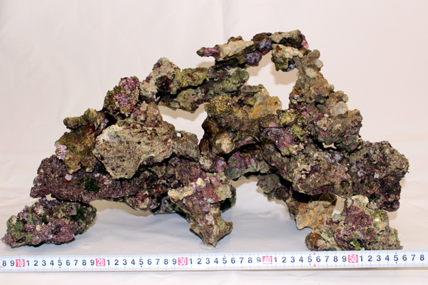 ライブロック　10kg 送料無料】ライブロック Aグレード お任せ10kgセット アクア