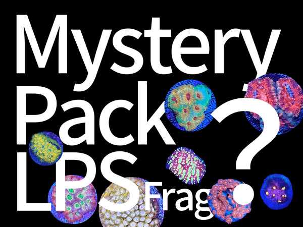 Mystery Pack LPSフラグ  ２個セット