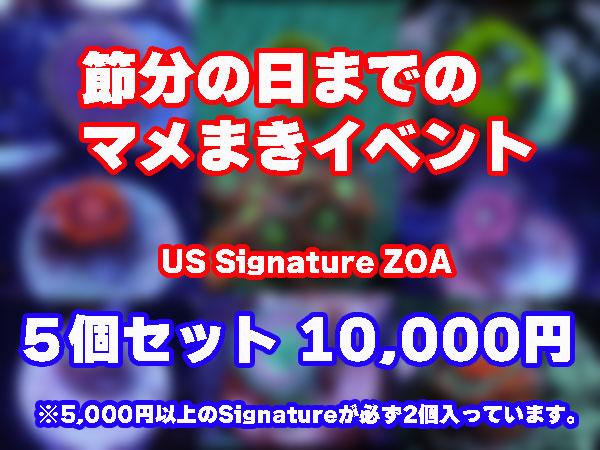 【2月3日まで】マメまきイベント USZoa 5個セット