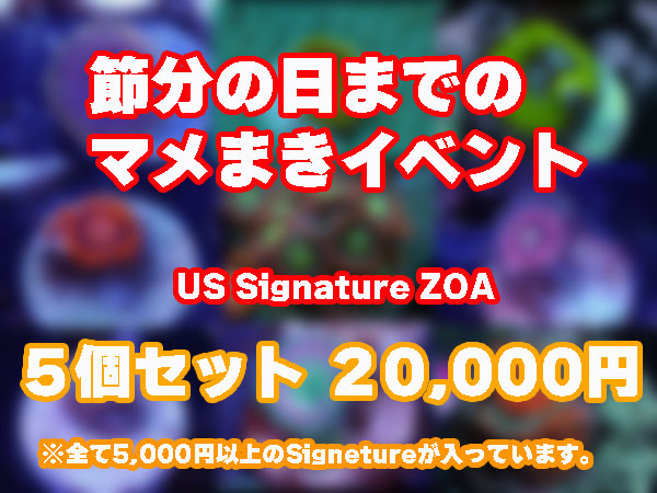 【2月3日まで】マメまきイベント USZoa 5個セット