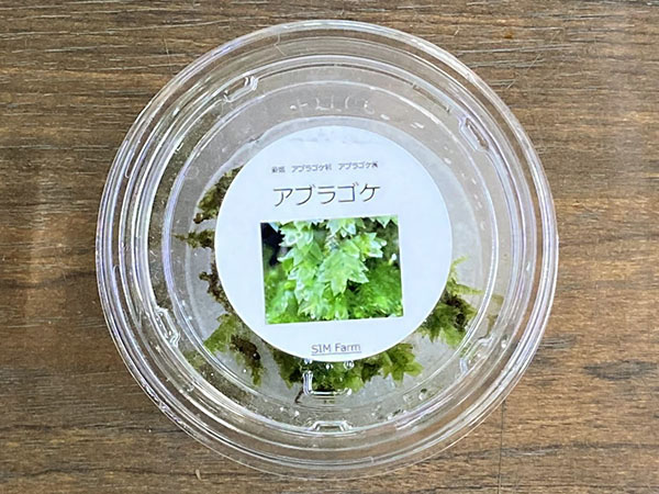 ❣️苔アート❣️ シャネイル様❣️苔リューム❣️オーダー4点セット❣️送料込み❣️ ❣️苔アート❣️ シャネイル様❣️苔リューム❣️オーダー4点