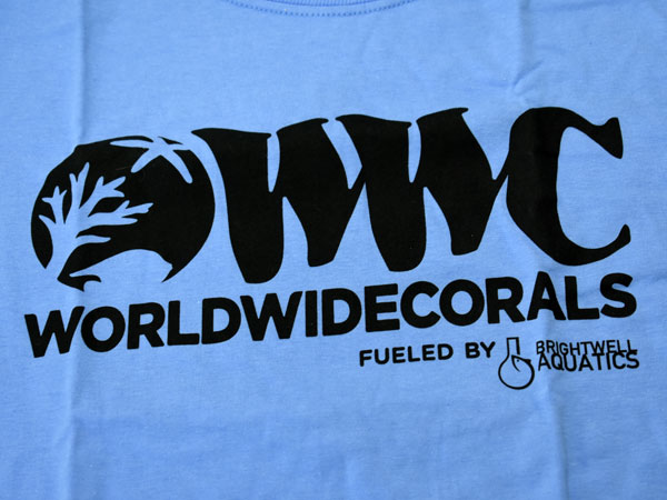 【正規輸入品】WWC T-shirt ブルー系 S size