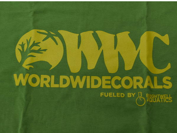 【正規輸入品】WWC T-shirt グリーン系 L size