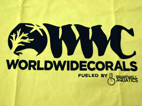 【正規輸入品】WWC T-shirt イエロー系 L size