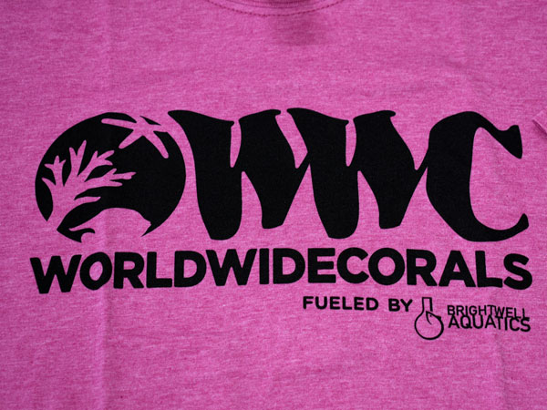 【正規輸入品】WWC T-shirt ピンク系 M size