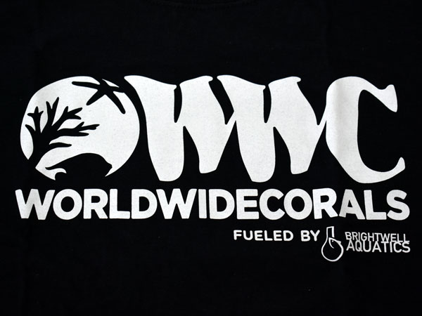 【正規輸入品】WWC T-shirt ブラック系 M size