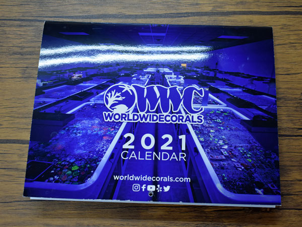 【正規輸入品】WWC 2021Calender