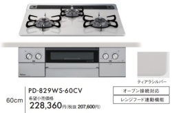 PD-829WS-60CV