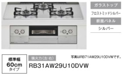RB71AW29U10DVW