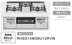 RHB31AW28U12RVW