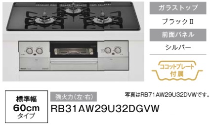 RB31AW29U32DGVW