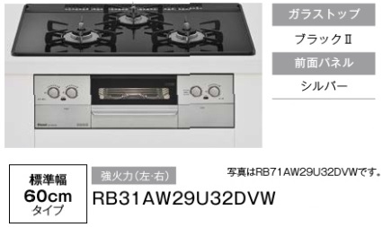 RB31AW29U32DVW