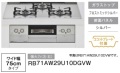 RB31AW29U10DGVW