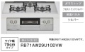 RB31AW29U10DVW