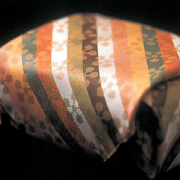 絢の調べ　利休梅