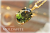 天然石 パワーストーン|モルダバイト　Moldavite　隕石　チェコ産　チェコスロバキア　ペンダント アーキエンジェルズ　大分市 橋本奈奈