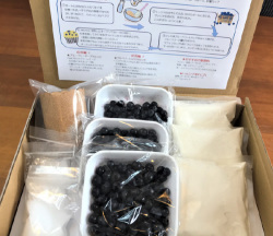 アリスファーム カントリーストア 農場発マフィン手作りキット 送料込み