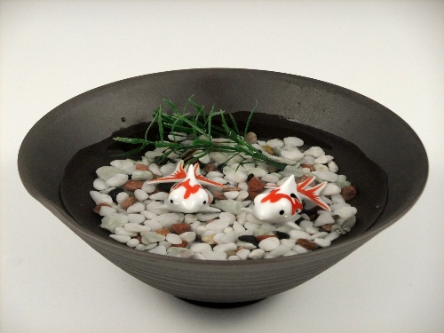 出目金 赤白 赤黒・黒陶鉢(大)セット(小石付)