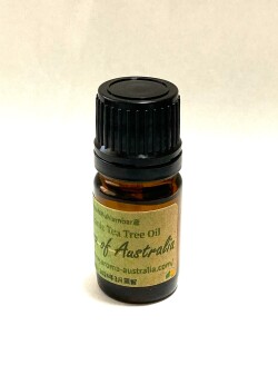 【オーストラリア産】2024年3月産 ACO認証 オーガニック ティーツリー精油5ml お試しセール