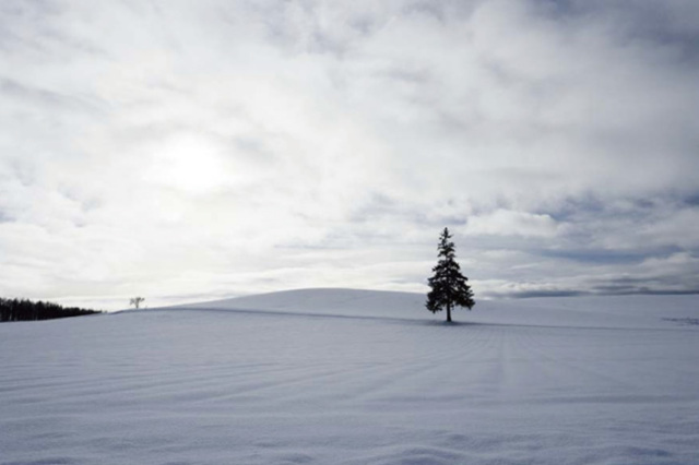 クリスマスブレンド【中深煎り】 250g