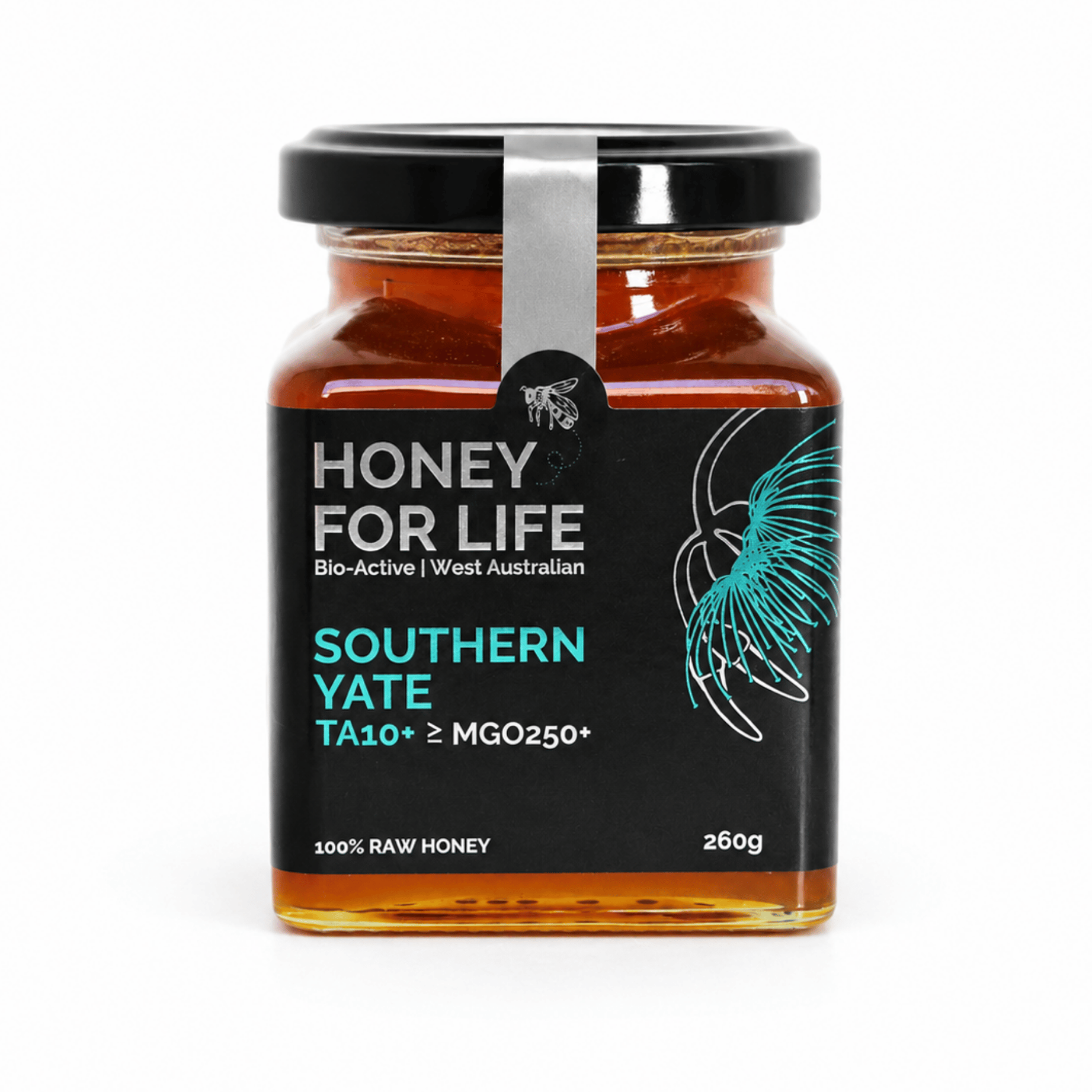 Southern Yate -HFL- 260g／500g