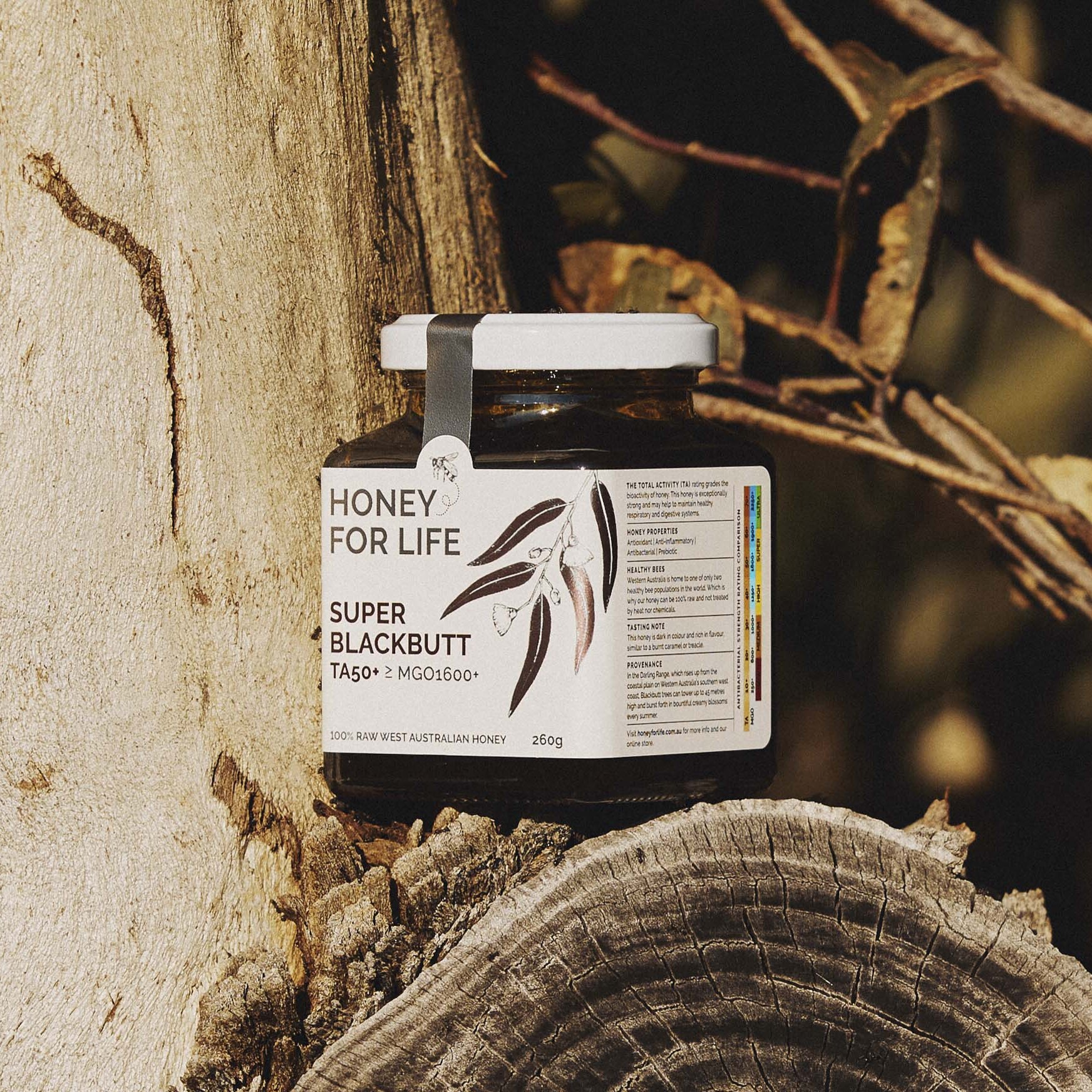 Super Blackbutt TA50+ -HFL- 260g