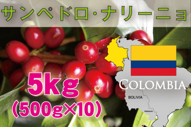 コロンビア　ウィラ　5kg　中深煎り