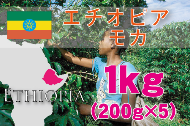 エチオピア　モカ　1kg　浅～中煎り