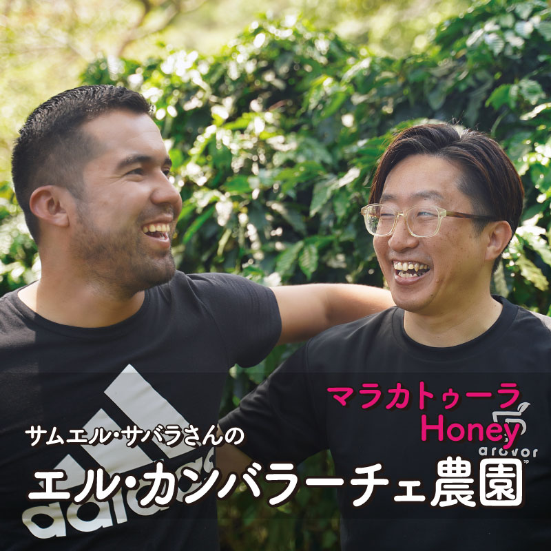 ＜ニカラグア＞エル・カンバラーチェ農園 マラカトゥーラ種 180g