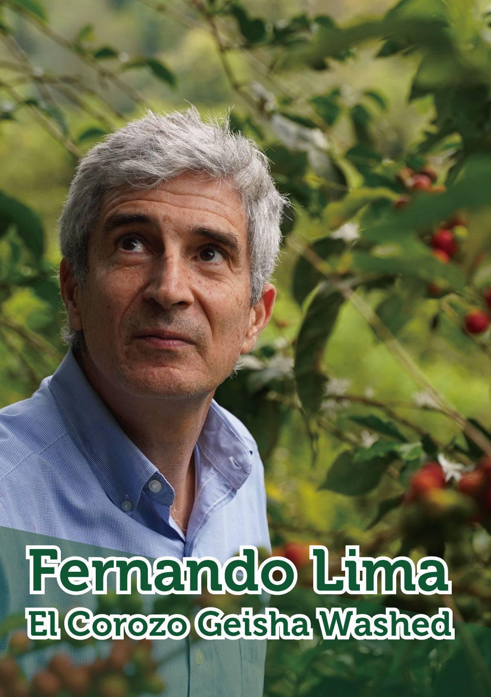 ＜エルサルバドル＞エル・コロソ農園ゲイシャ種100g