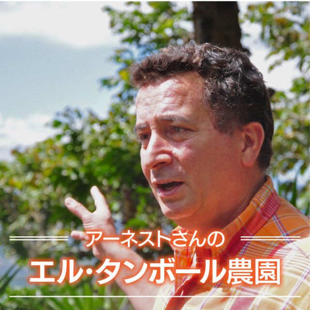 アーネストさんのエル・タンボール農園＜エルサルバドル＞200g