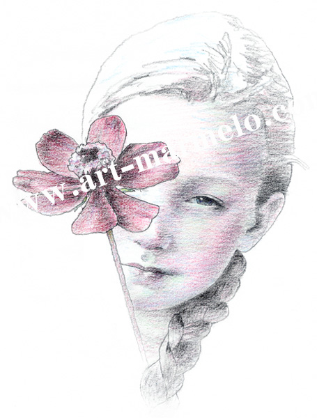 松原健治の版画「チョコレートコスモス」