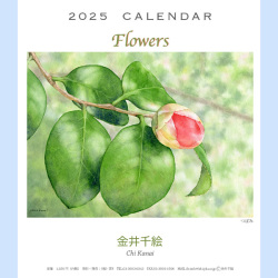2025年金井千絵CDカレンダー