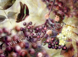 横田美晴の版画「E-Elderberry」