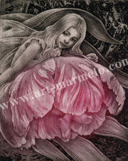 高田美苗の版画「FAIRY3」