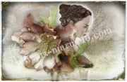 横田美晴の版画「ChristmasRose」