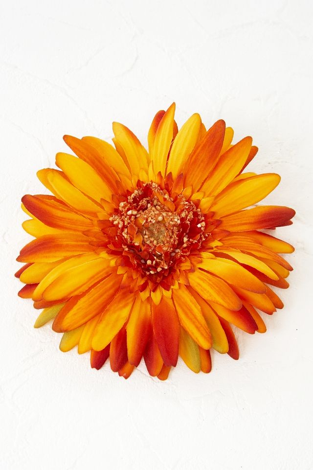 【コサージュ＆髪飾り・両用2WAYタイプ】サリー／ガーベラオレンジ