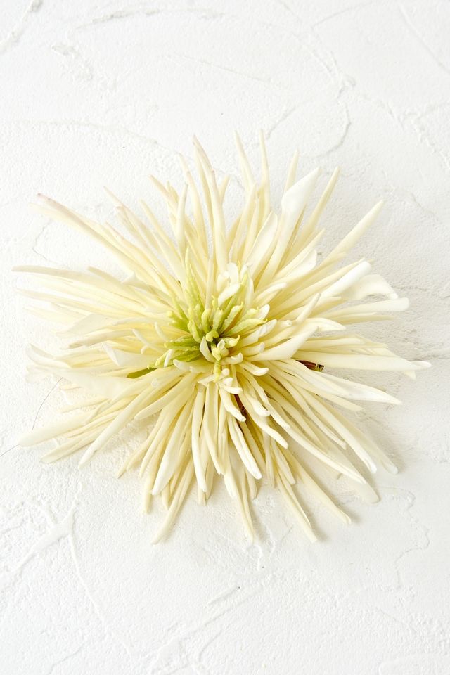 【コサージュ＆髪飾り・2wayタイプ】スパイダーマム／ホワイト