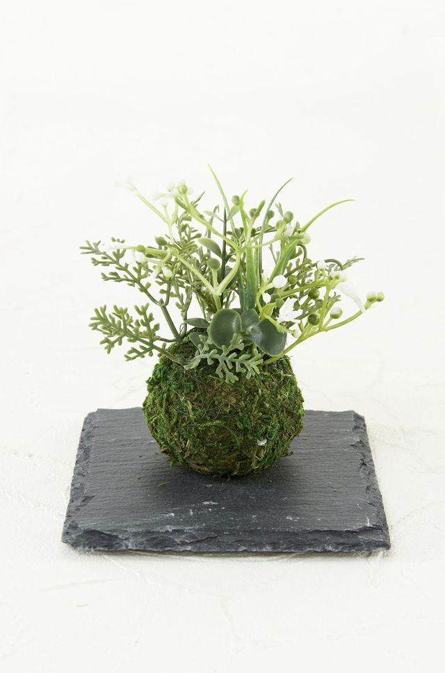 【造花 観葉植物 インテリアグリーン】miniこけ玉 リトルジャパーニーズ（下皿付き）C