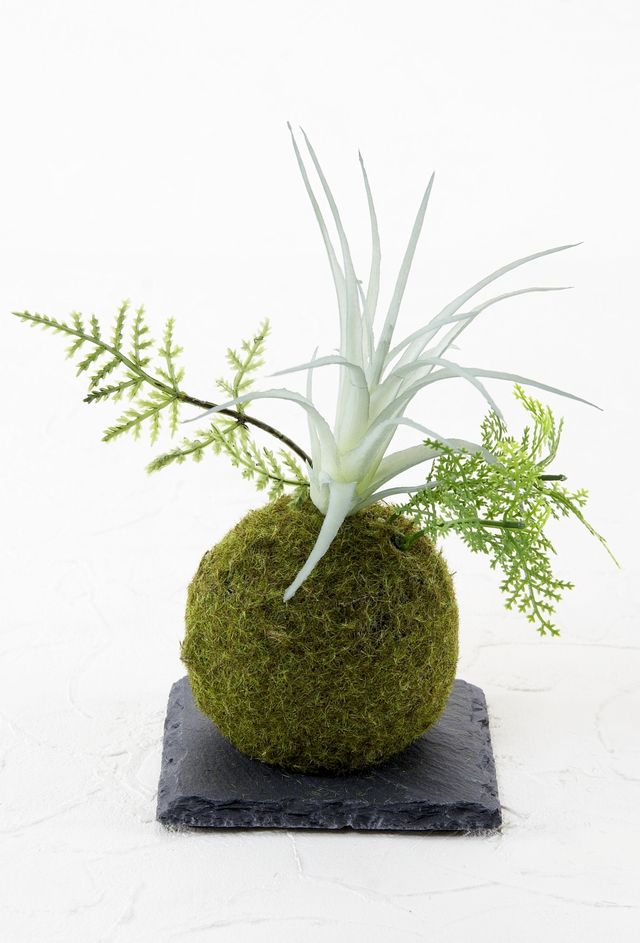 【造花 観葉植物 インテリアグリーン】こけ玉 ジャパニーズモダンアレンジメントF（下皿付き）