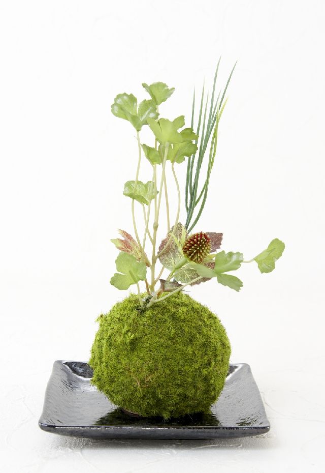 【造花 観葉植物 インテリアグリーン】こけ玉 和アレンジＰ（下皿付き）