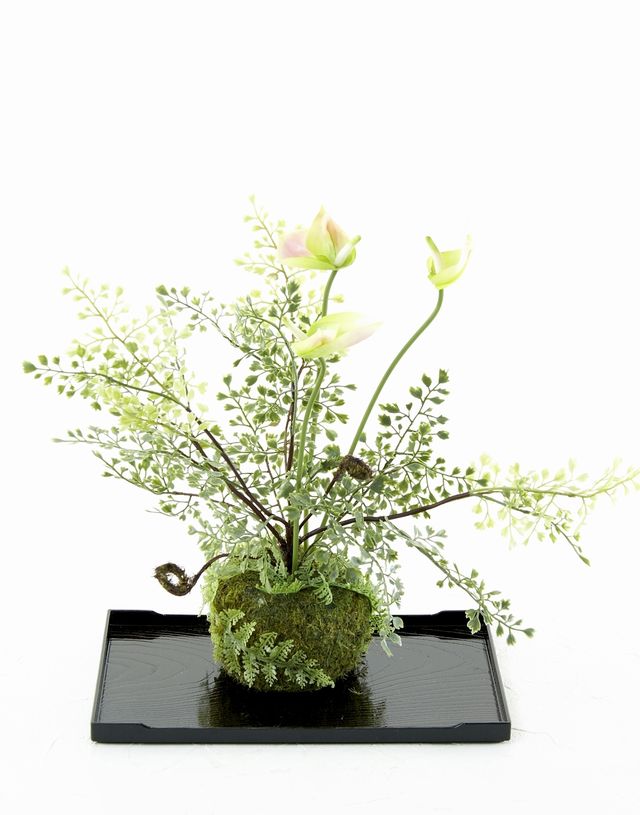 【造花 観葉植物 インテリアグリーン】苔玉 和風アレンジ3（下皿付き）