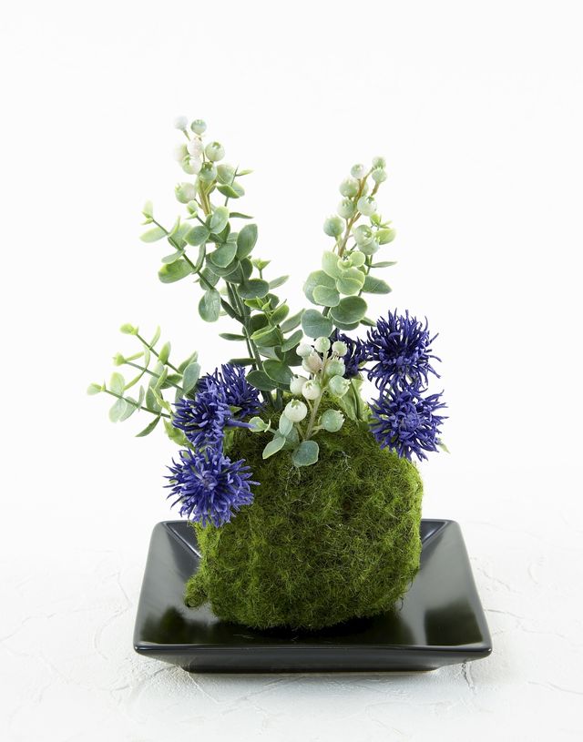 【造花 観葉植物 インテリアグリーン】苔玉 和風アレンジ6（下皿付き）