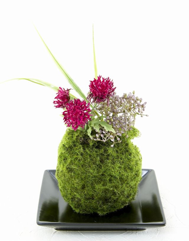 【造花 観葉植物 インテリアグリーン】苔玉 和風アレンジ10（下皿付き）